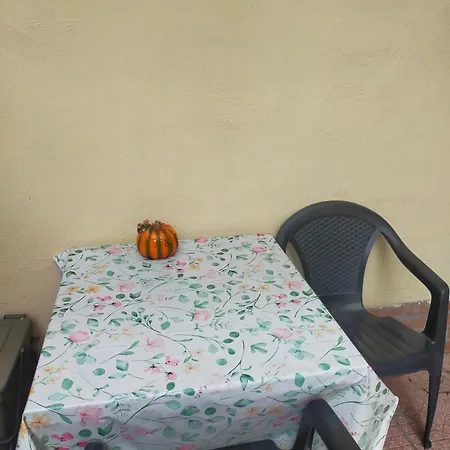 Loft Indipendente Con Giardino A Tor Vergata Apartamento