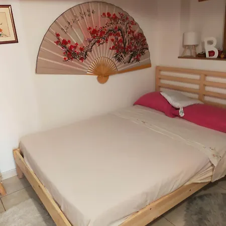 Loft Indipendente Con Giardino A Tor Vergata Roma